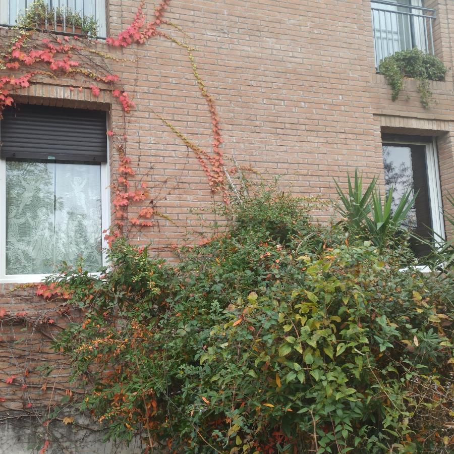 Casa Vincenzo 130 Mq Con Portico Ed Ingresso Esclusivo Dal Giardino Felino Exterior foto